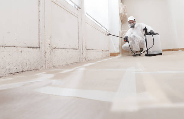 24/7 Emergency Mold Remediation experts in Clear Spring, MD