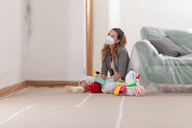 Reliable Mold Remediation contractor in Clear Spring, MD by 24 Hour Mold Removal