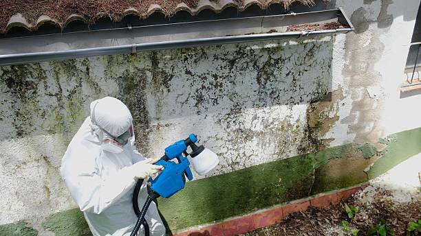 Top rated local Mold Remediation specialists in Clear Spring, MD